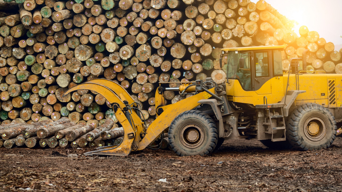 Wood processing factory